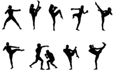 Martial Arts for Self Defence (fun, beginner friendly et bilingue!)                                            .
